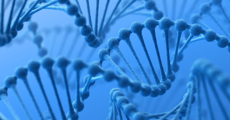 healthcare market trends