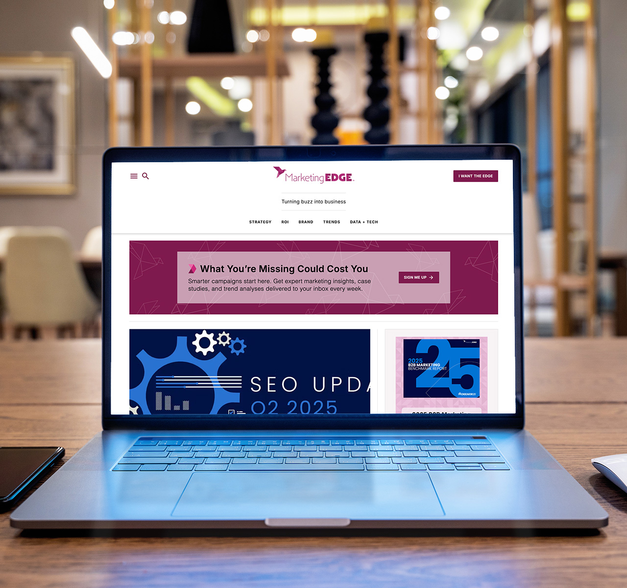 Website Mockup MarketingEDGE